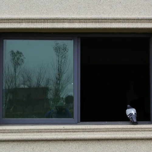 cozii the aluminium guy patio sliding window cozii the aluminium guy patio sliding window